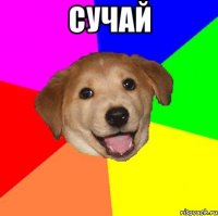 СУЧАЙ 