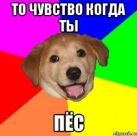 То Чувство Когда ТЫ Пёс