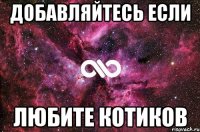 добавляйтесь если любите котиков