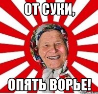 От суки, опять ворье!