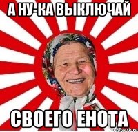 А ну-ка выключай своего енота