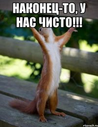 Наконец-то, у нас чисто!!! 