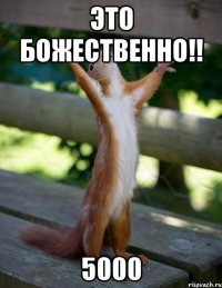 Это божественно!! 5000