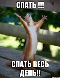 СПАТЬ !!! СПАТЬ ВЕСЬ ДЕНЬ!!