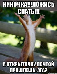 Ниночка!!!Ложись спать!!! А открыточку почтой пришлешь. Ага?