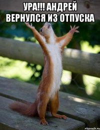 Ура!!! Андрей вернулся из отпуска 