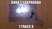 Вика Сударикова 1 гласс А