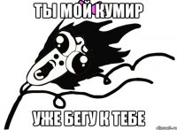 ТЫ МОЙ КУМИР УЖЕ БЕГУ К ТЕБЕ