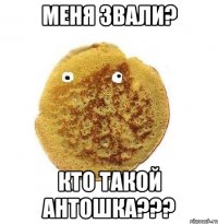 Меня звали? Кто такой Антошка???