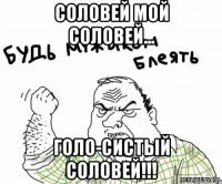 СОЛОВЕЙ МОЙ СОЛОВЕЙ... ГОЛО-СИСТЫЙ СОЛОВЕЙ!!!