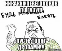 Никаких переговоров по газу!!! Пусть топят дровами!!!