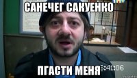 санечег сакуенко пгасти меня