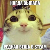 Когда выпала редкая вещь в Steam