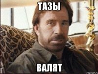 ТАЗЫ ВАЛЯТ