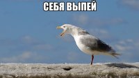 себя выпей 