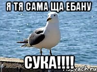 Я тя сама ща ебану СУКА!!!!