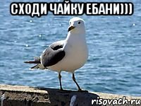 сходи чайку ебани))) 