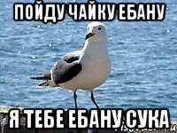пойду чайку ебану я тебе ебану сука