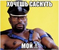 хочешь саснуть мой .!.