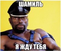шамиль я жду тебя
