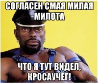 Согласен Смая милая милота Что я тут видел, кросаучег!