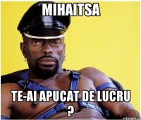 Mihaitsa Te-ai apucat de lucru ?