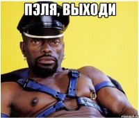 пэля, выходи 