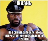 ЖИЗНЬ По всей вероятности, это непростой, но увлекательный процесс