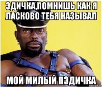 ЭДИЧКА,ПОМНИШЬ КАК Я ЛАСКОВО ТЕБЯ НАЗЫВАЛ МОЙ МИЛЫЙ ПЭДИЧКА