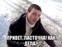  Привет, Ласточка! Как дела?