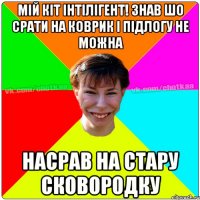 мій кіт інтілігент! знав шо срати на коврик і підлогу не можна насрав на стару сковородку