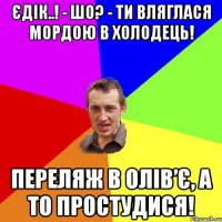 Єдік..! - Шо? - Ти вляглася мордою в холодець! Переляж в олів’є, а то простудися!