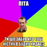 Піта ти шо забув хто тобі кістку в будку кидає?