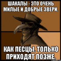 Шакалы - это очень милые и добрые звери. Как песцы. Только приходят позже.