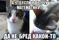 А что если я выучу математику!? Да не, бред какой-то