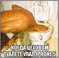  когда цеховом туалете упал iPhone 5