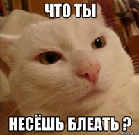 что ты несёшь блеать ?