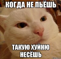 когда не пьёшь такую хуйню несёшь