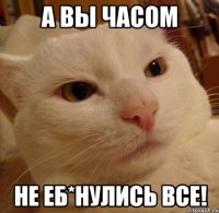 А вы часом Не еб*нулись все!