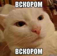 Вскором Вскором