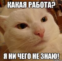 какая работа? я ни чего не знаю!