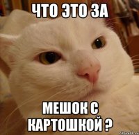 Что это за мешок с картошкой ?