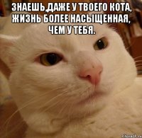 Знаешь,даже у твоего кота, жизнь более насыщенная, чем у тебя. 