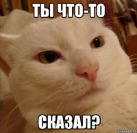 ты что-то сказал?