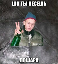 шо ты несешь лошара