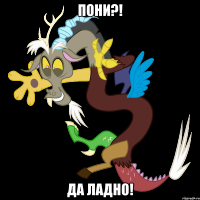 пони?! да ладно!