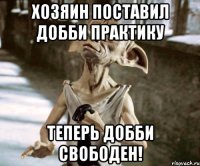 Хозяин поставил добби практику теперь добби свободен!