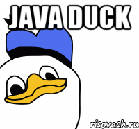 Java Duck 