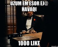 UZUM EM ESOR EJ@ HAVAQI 1000 LIKE