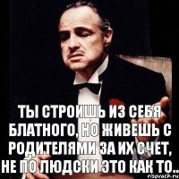 ты строишь из себя блатного, но живешь с родителями за их счет, не по людски это как то..